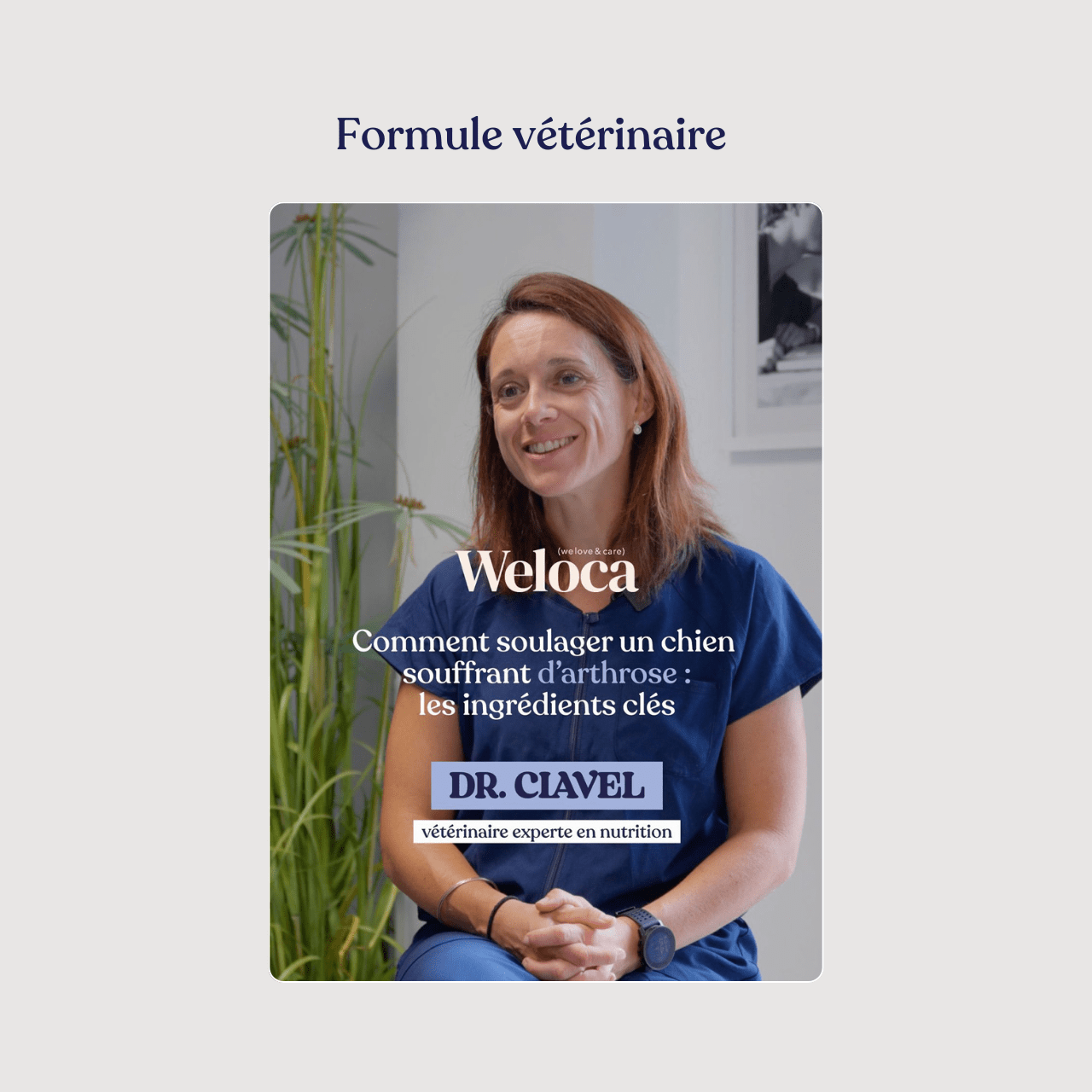 Complément articulations - Weloca