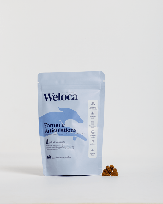 Complément articulations | 60 bouchées - Weloca