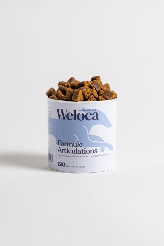 Complément articulations | Chien - Weloca