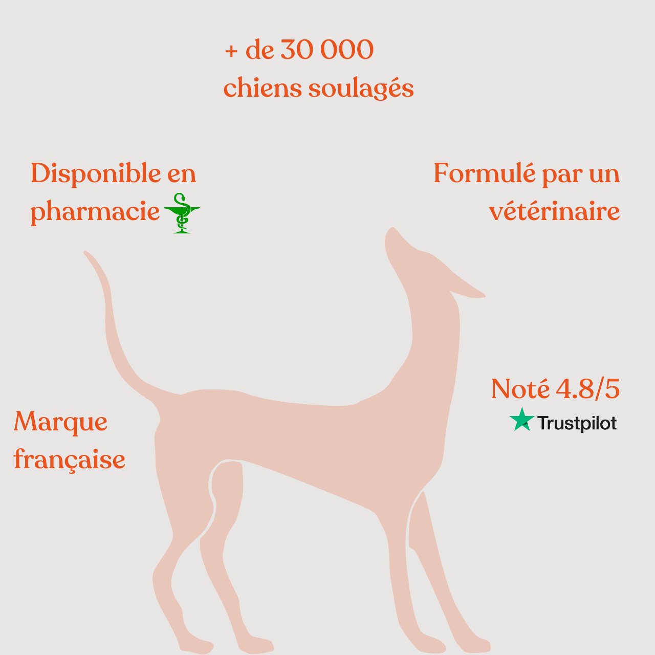 Cure Démangeaisons - Weloca