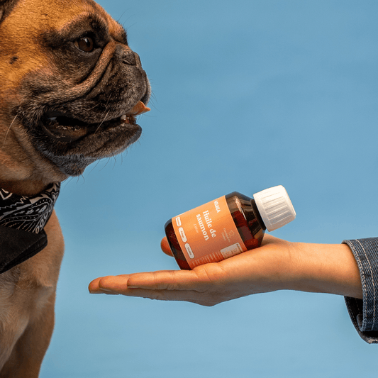 Huile de saumon | Chiens et chats - Weloca