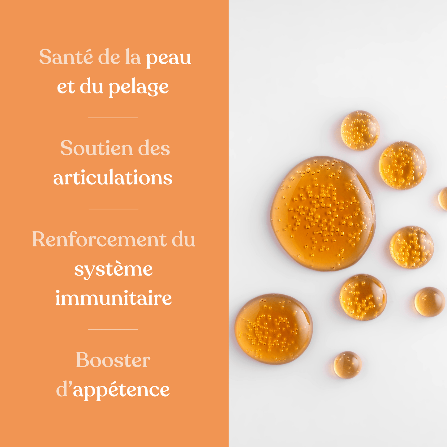 Huile de saumon | Chiens et chats - Weloca