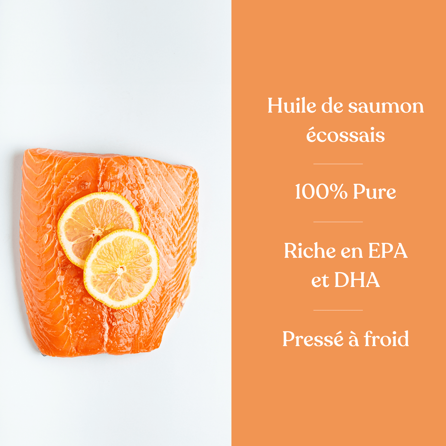 Huile de saumon | Chiens et chats - Weloca