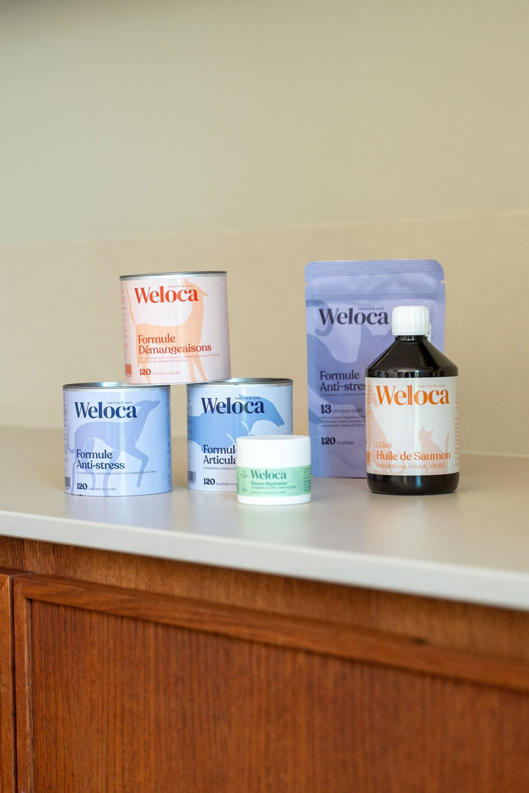 Tous les produits - Weloca