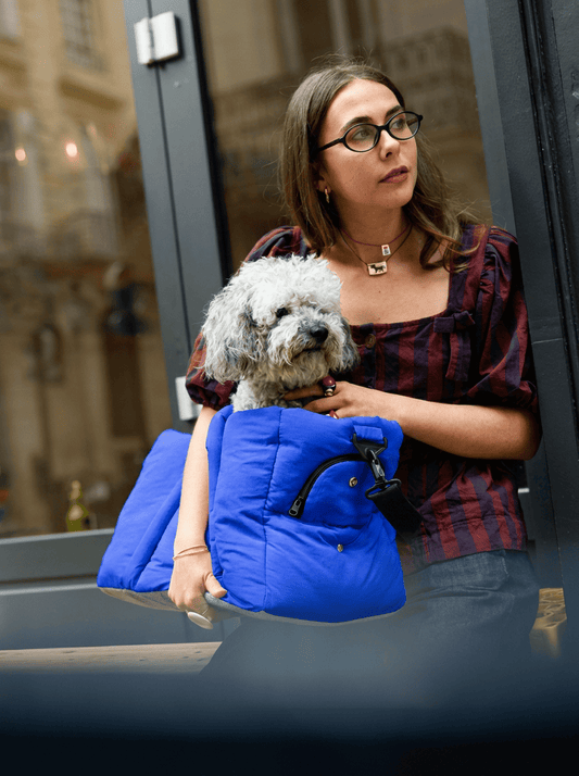 Sac de voyage bleu