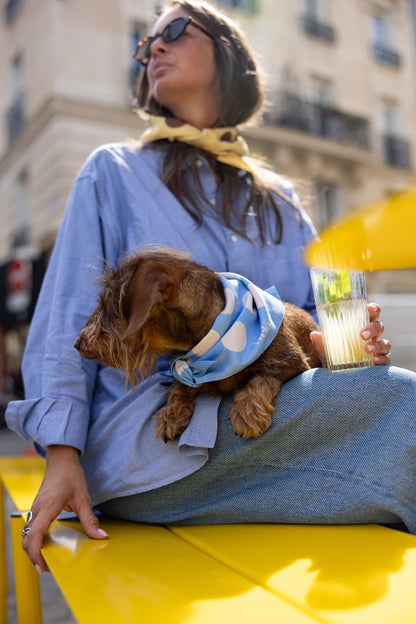Bandana bleu à pois crème — Chien & Humain