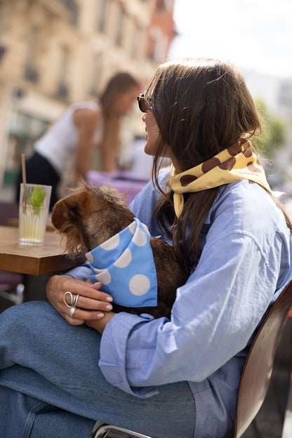 Bandana bleu à pois crème — Chien & Humain