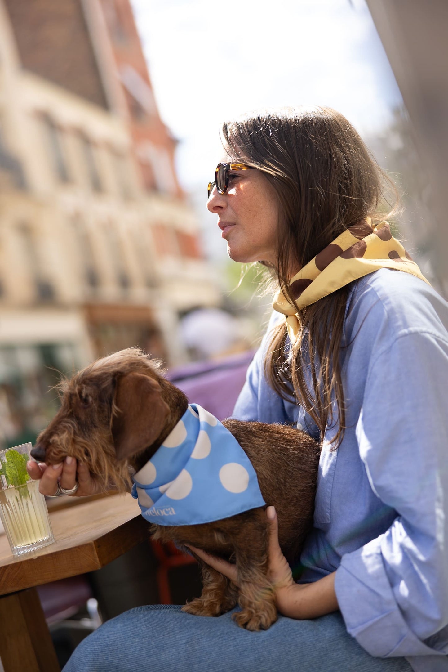 Bandana Jaune à Pois Marrons — Chien & Humain