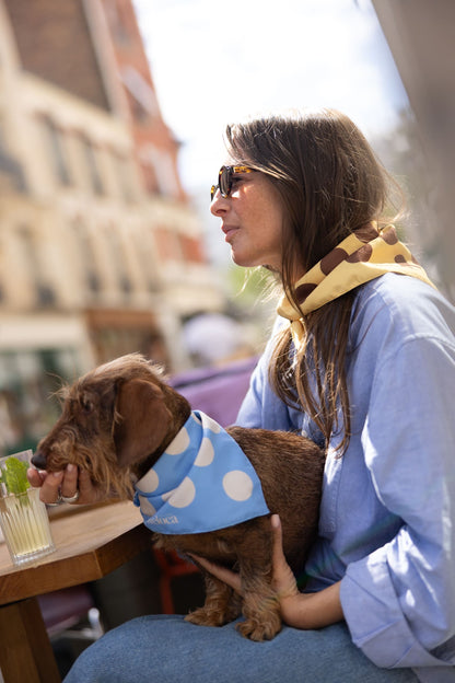 Bandana Jaune à Pois Marrons — Chien & Humain