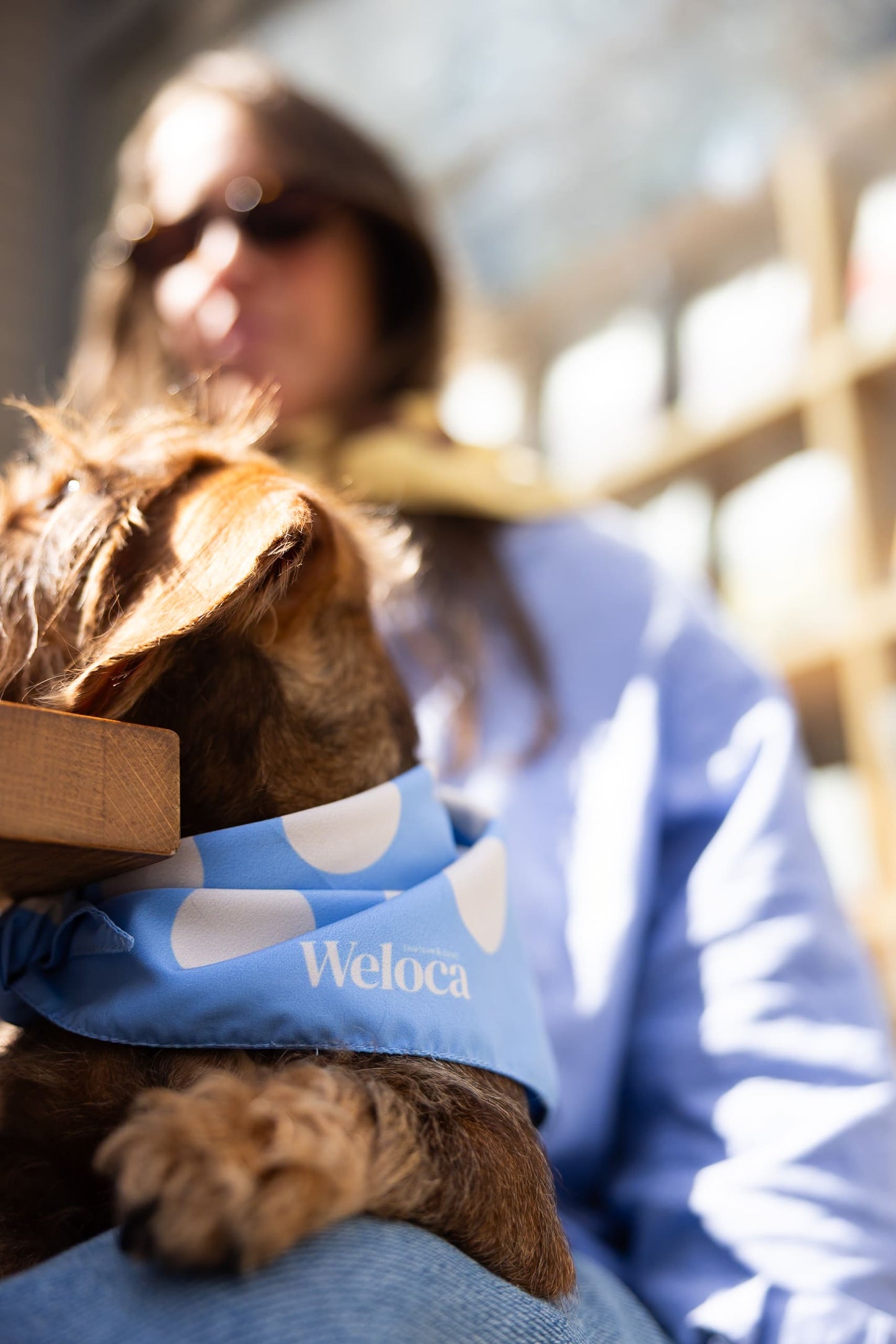 Bandana bleu à pois crème — Chien & Humain