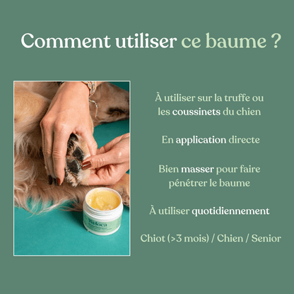 Baume réparateur | Chien et chat - Weloca