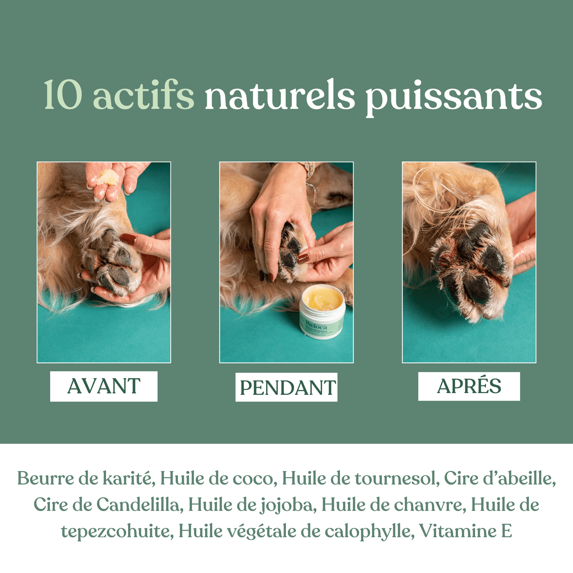 Baume réparateur | Chien et chat - Weloca