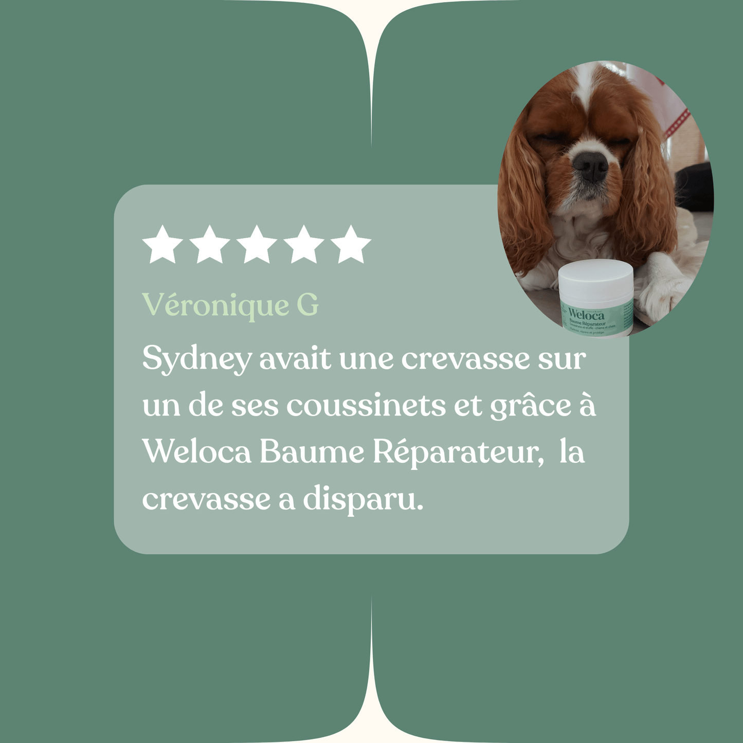 Baume réparateur | Chien et chat - Weloca