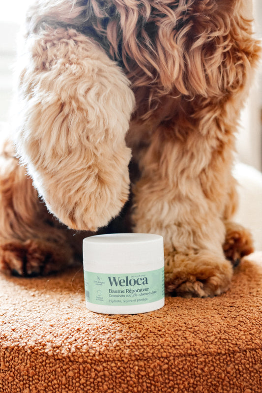 Baume réparateur | Chiens et chats - Weloca