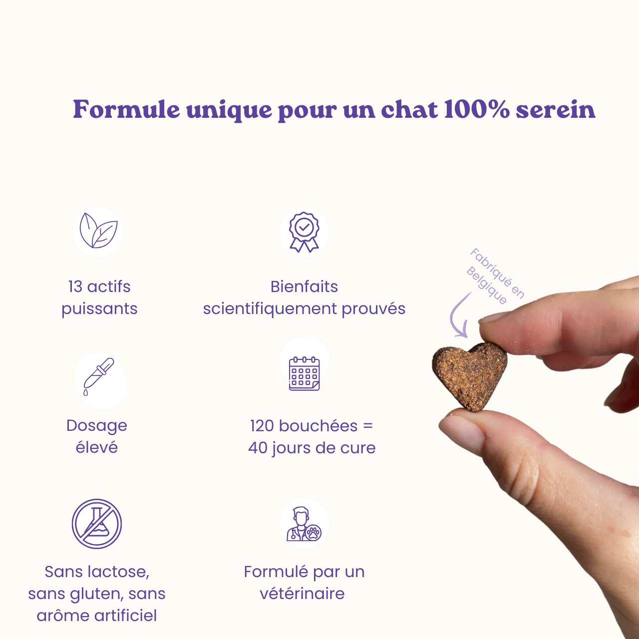 Complément anti - stress | Chat - Weloca