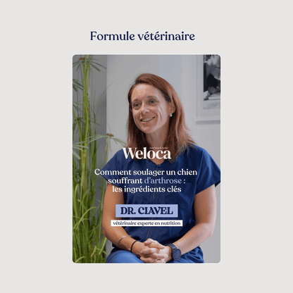 Complément articulations - Weloca