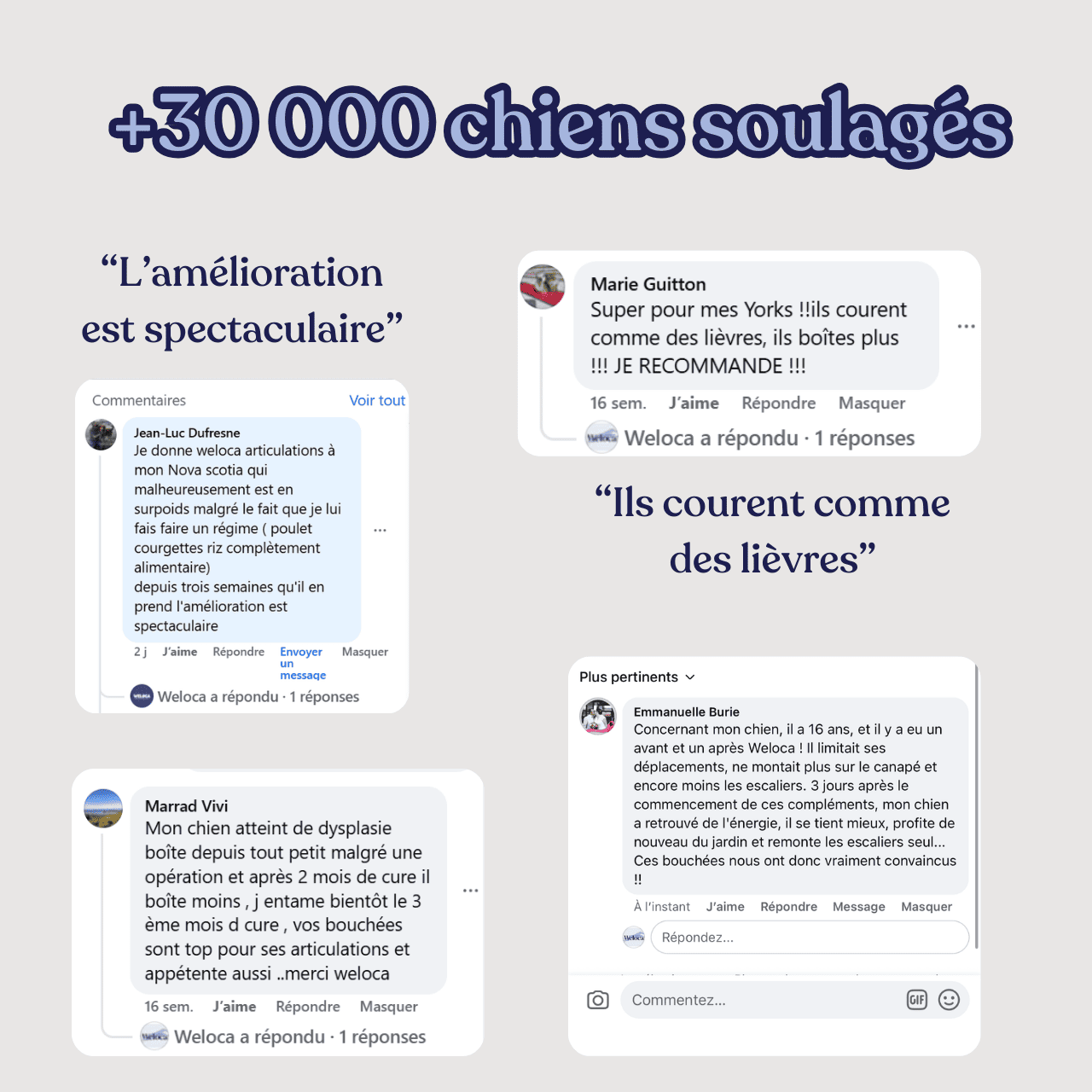 Complément articulations - Weloca