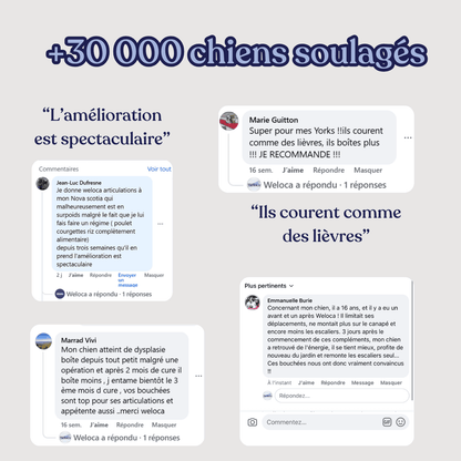 Complément articulations - Weloca