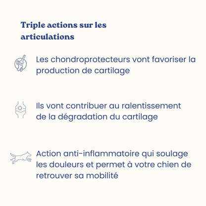 Complément articulations | 60 bouchées - Weloca