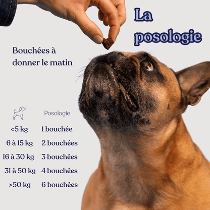 Complément articulations - Weloca