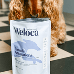 Complément articulations chien - Weloca