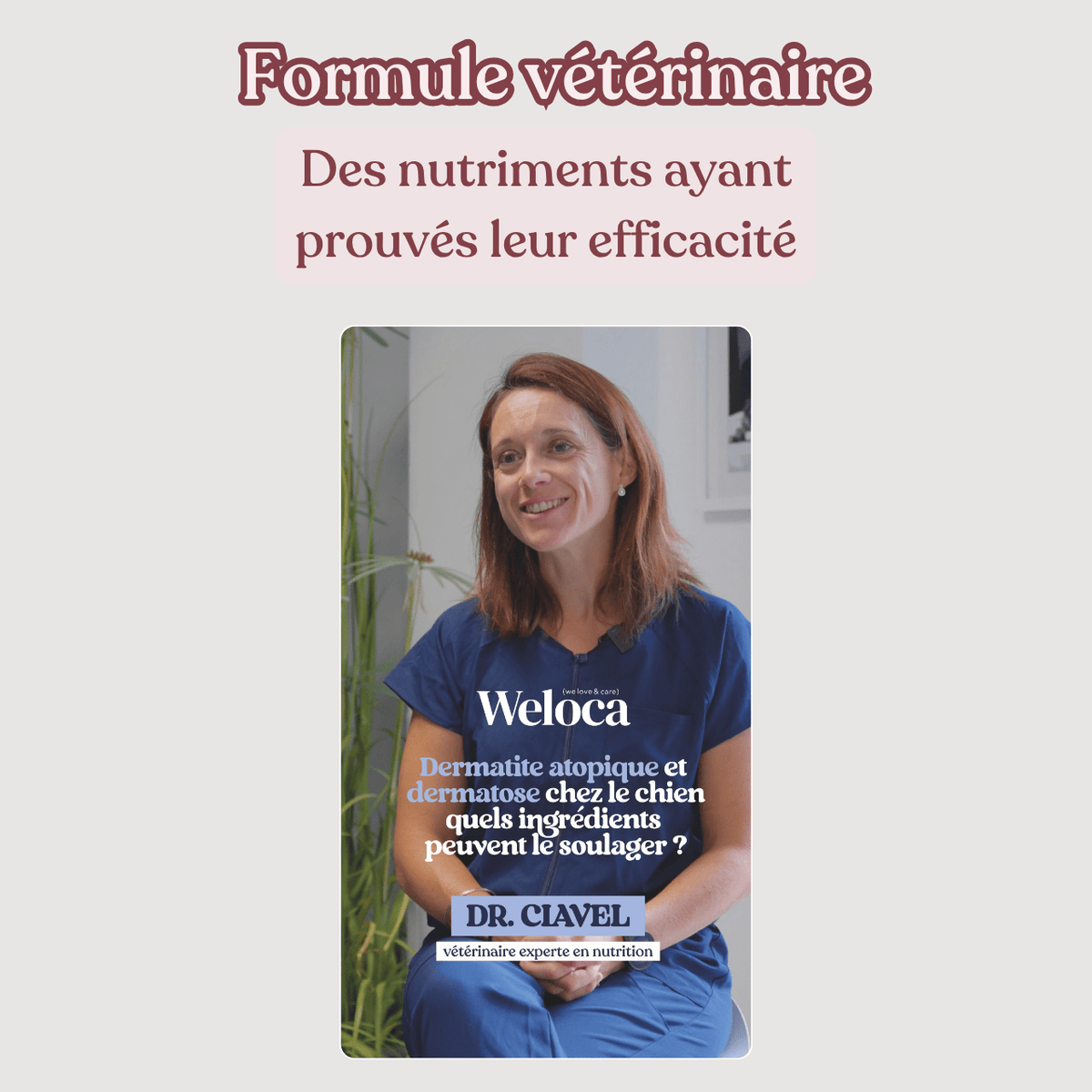 Complément démangeaisons - Poisson - Nouvelle formule - Weloca