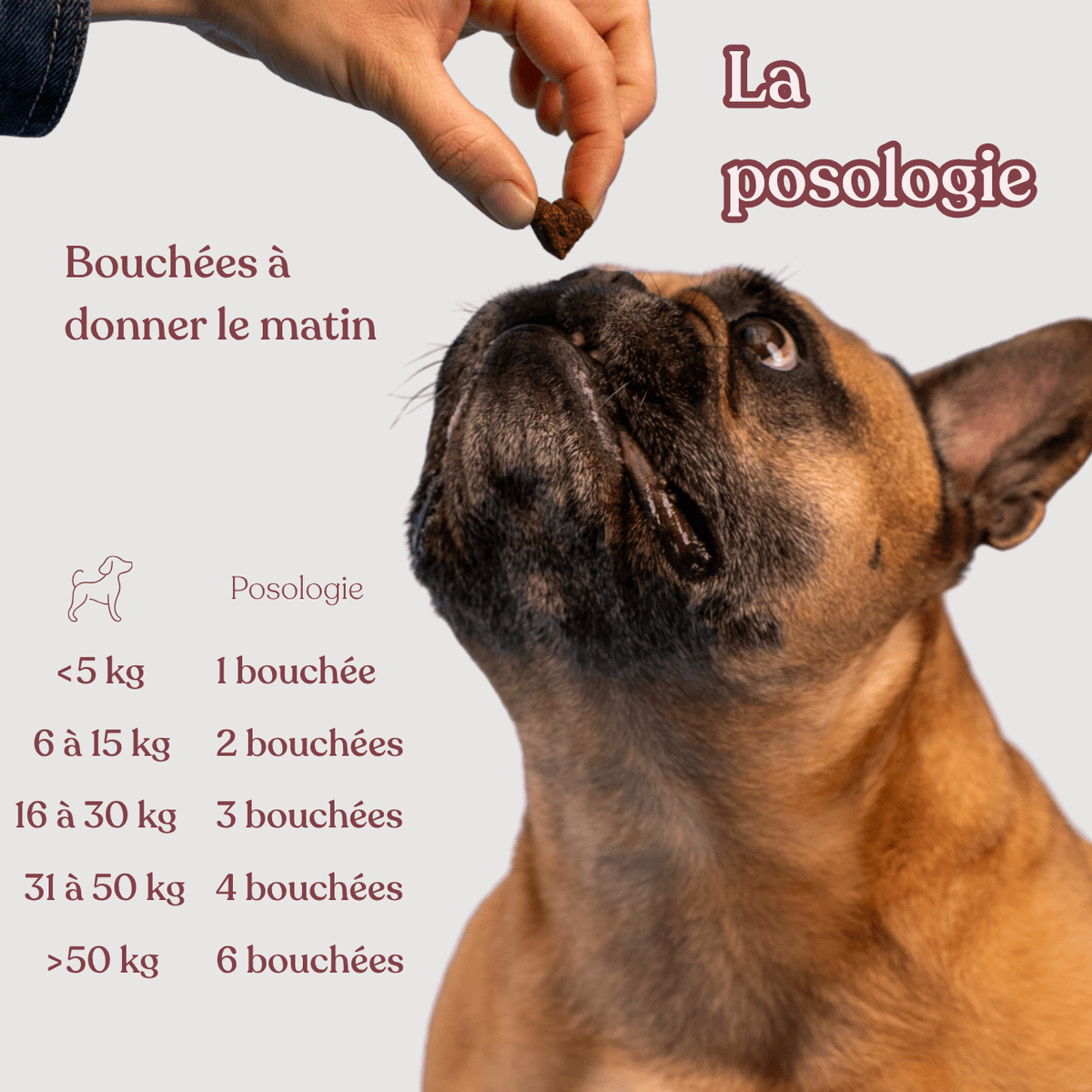 Complément démangeaisons - Poisson - Nouvelle formule - Weloca