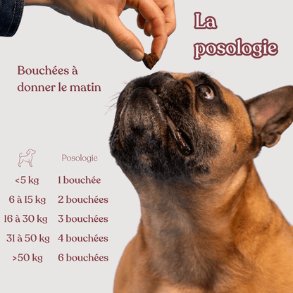 Complément démangeaisons - Poisson - Nouvelle formule - Weloca
