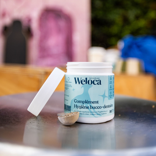 Complément Hygiène Bucco - dentaire - Weloca