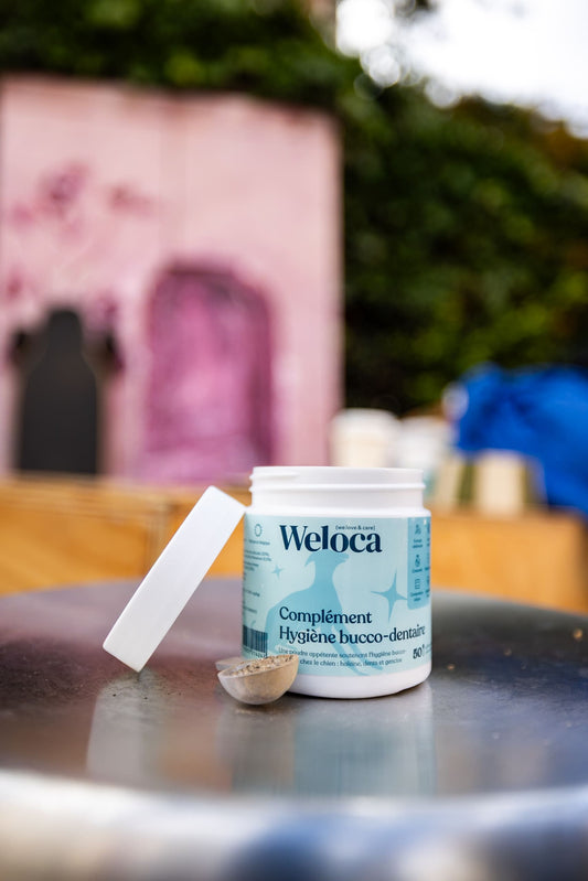 Complément Hygiène Bucco - dentaire - Weloca