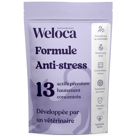 Complément Stress | Chat - Weloca