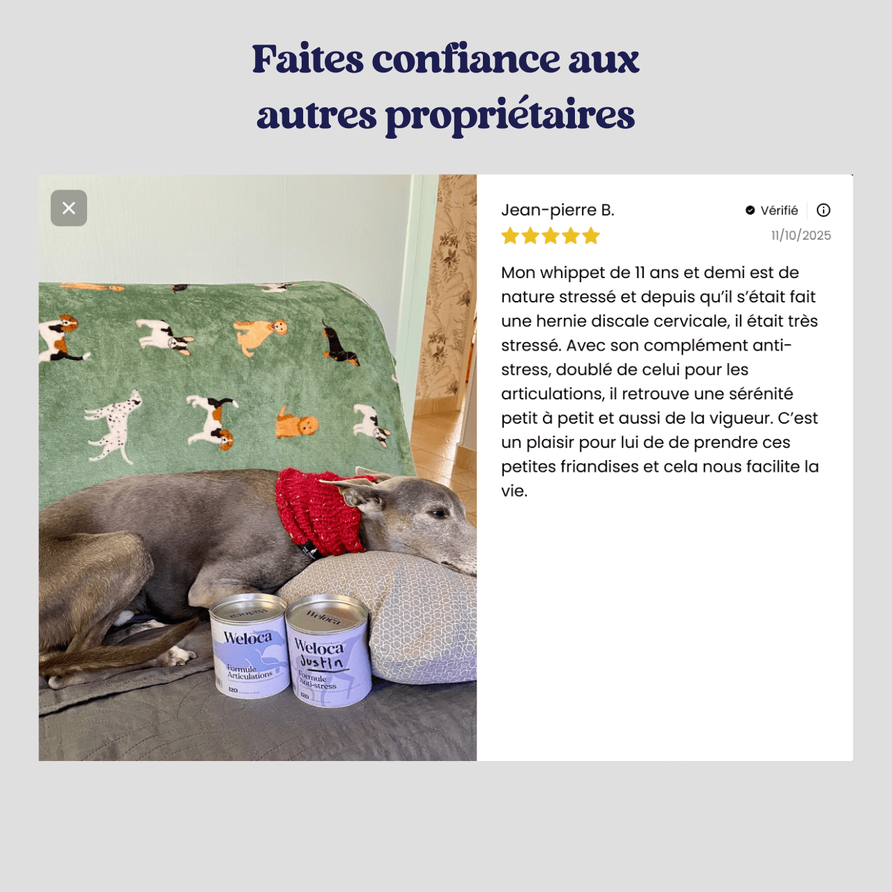 Complément stress | Chien - Weloca