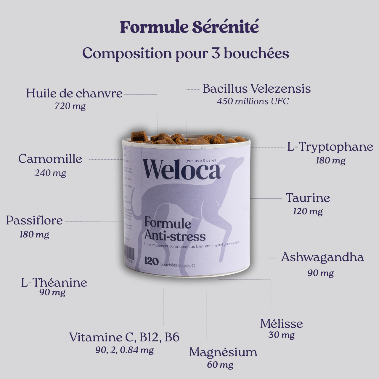 Complément stress | Chien - Weloca