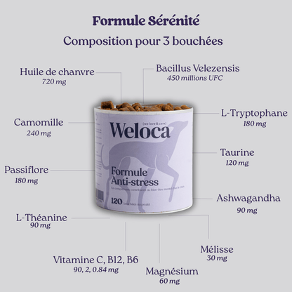 Complément stress | Chien - Weloca