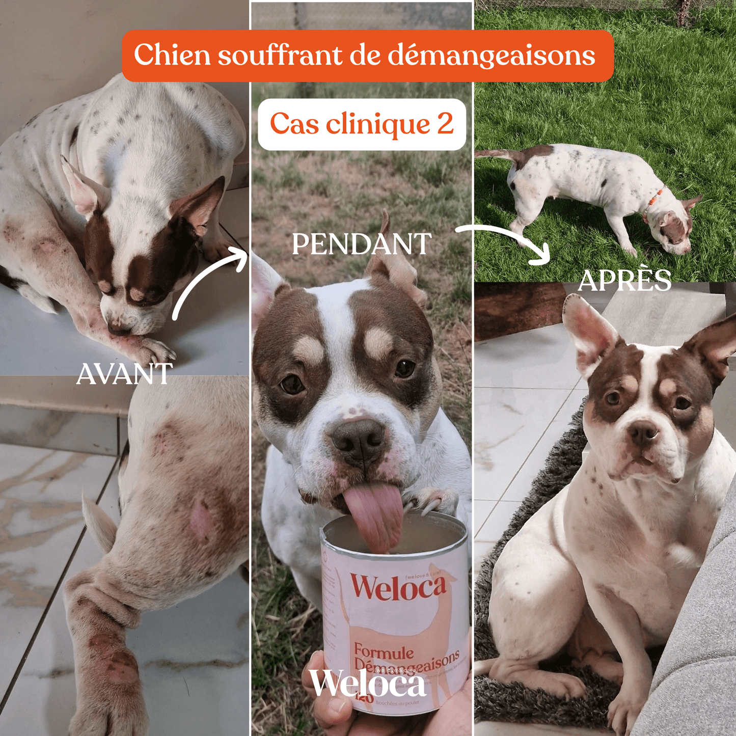 Cure Démangeaisons - Weloca