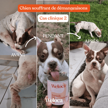 Cure Démangeaisons - Weloca