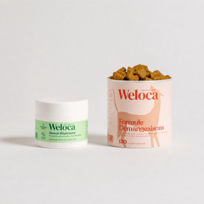 Duo soin complet démangeaisons - Weloca