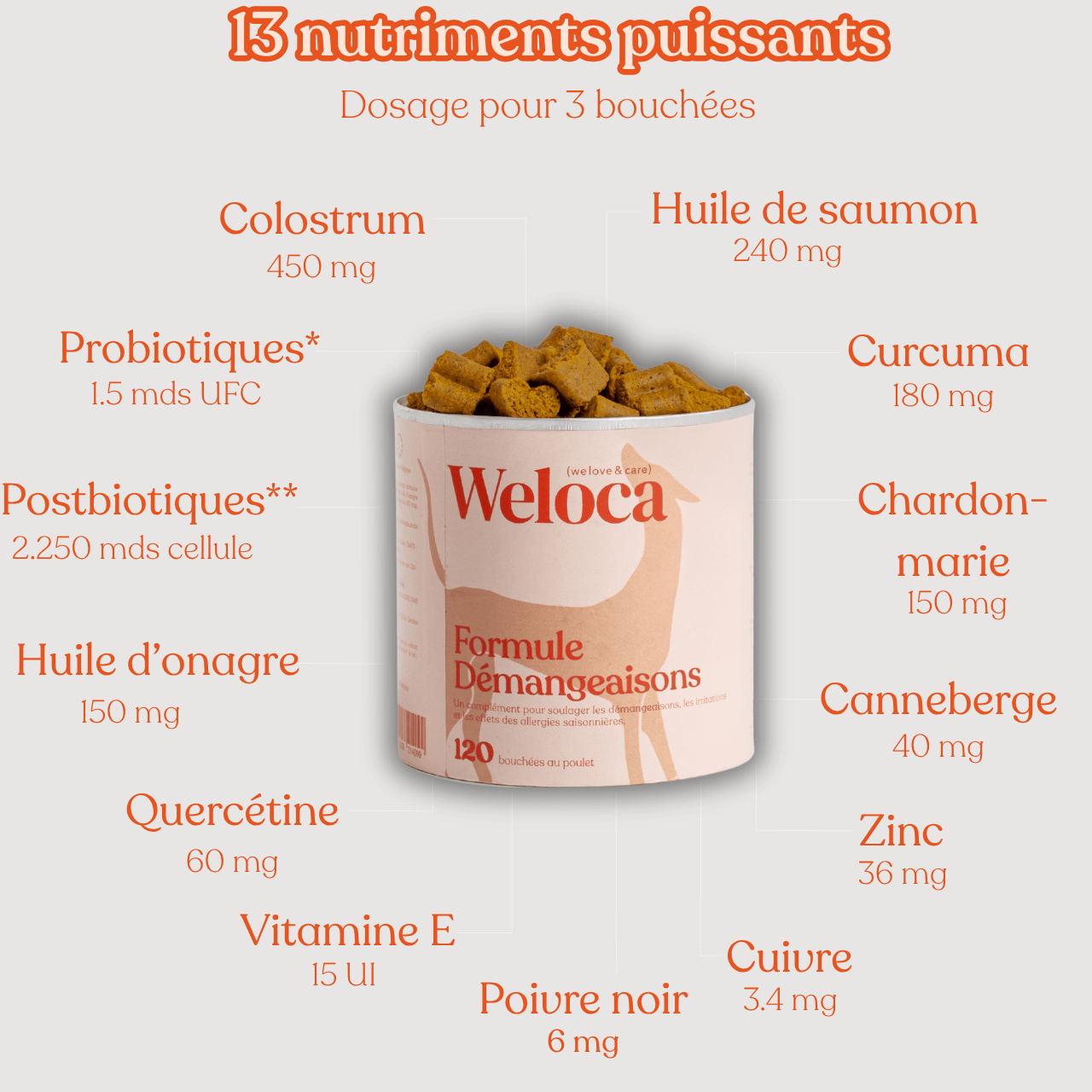 Duo soin complet démangeaisons - Weloca