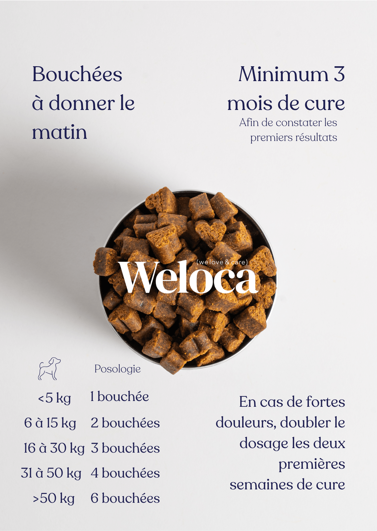 Flyer FAQ à donner à la première commande - Weloca