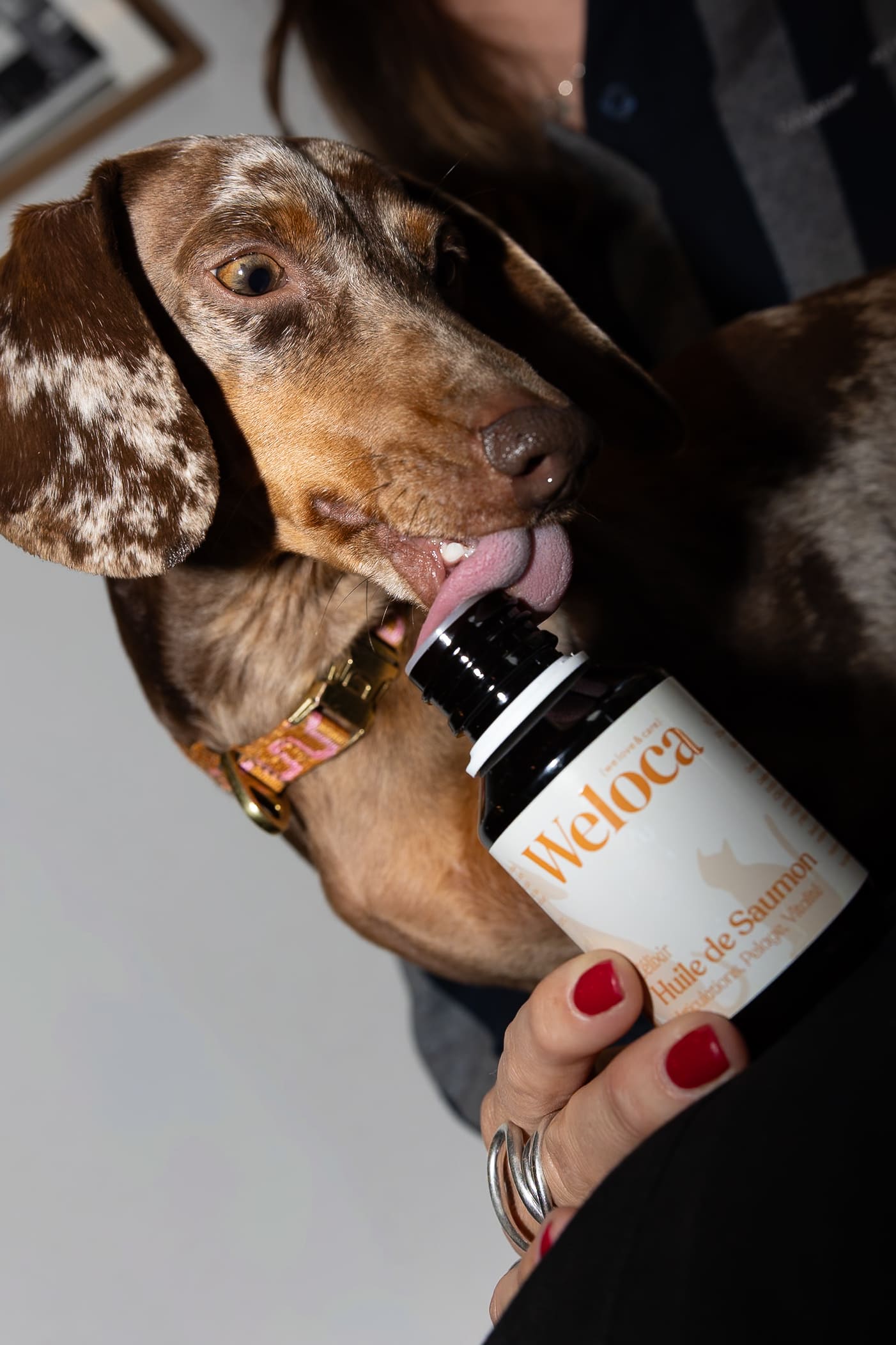 Huile de saumon 100 ml | Chien et chat - Weloca