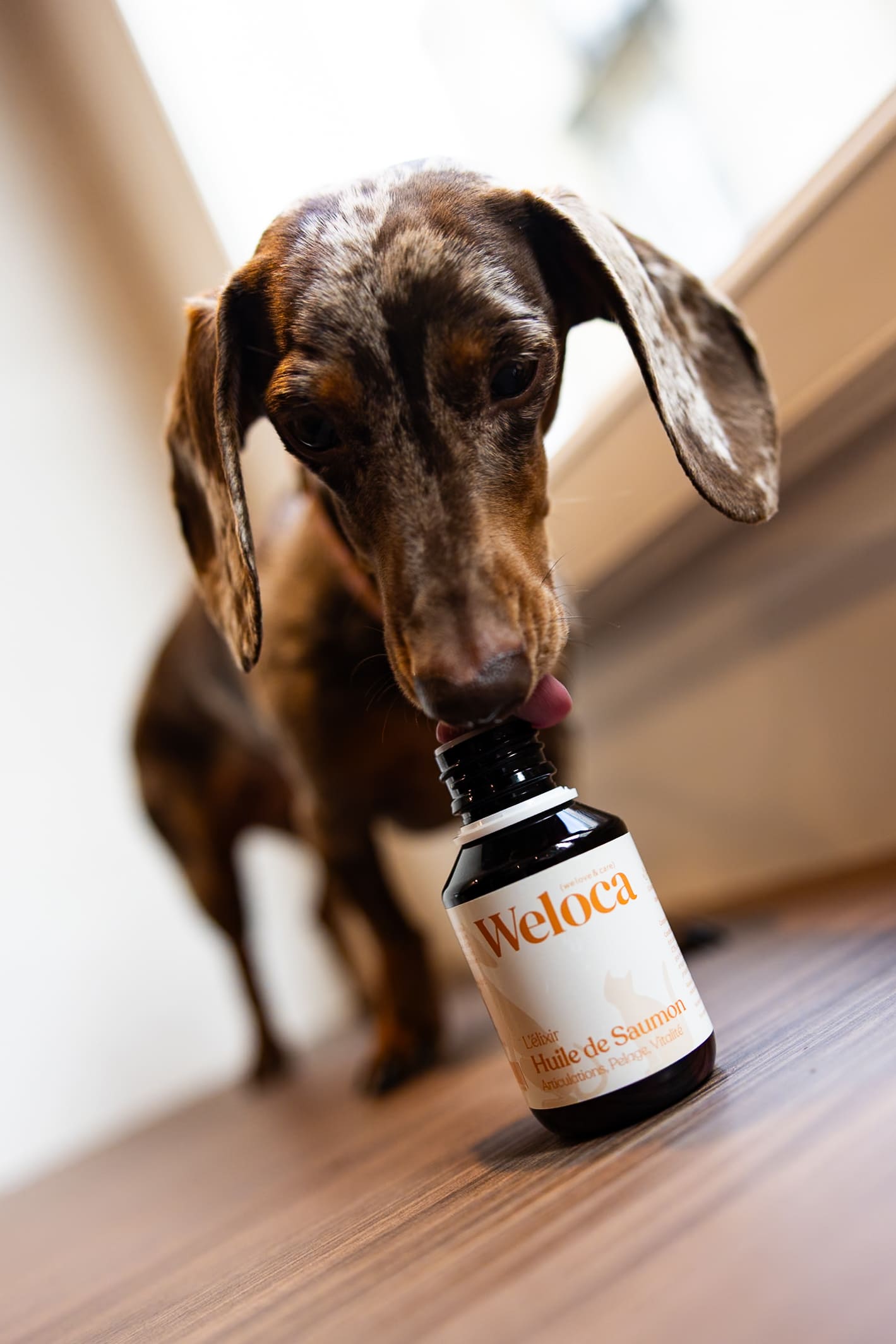 Huile de saumon 100 ml | Chien et chat - Weloca