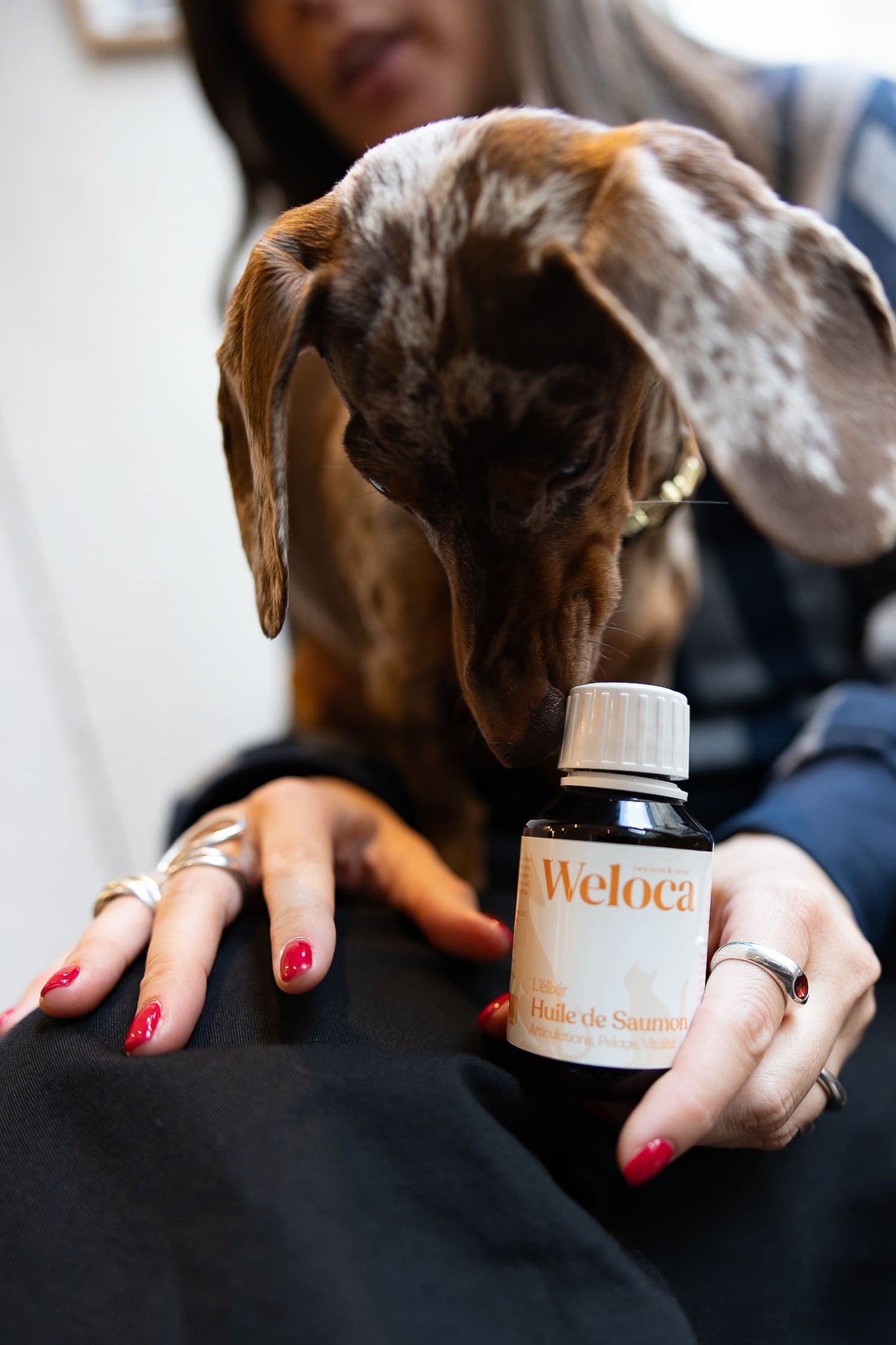 Huile de saumon 100 ml | Chien et chat - Weloca