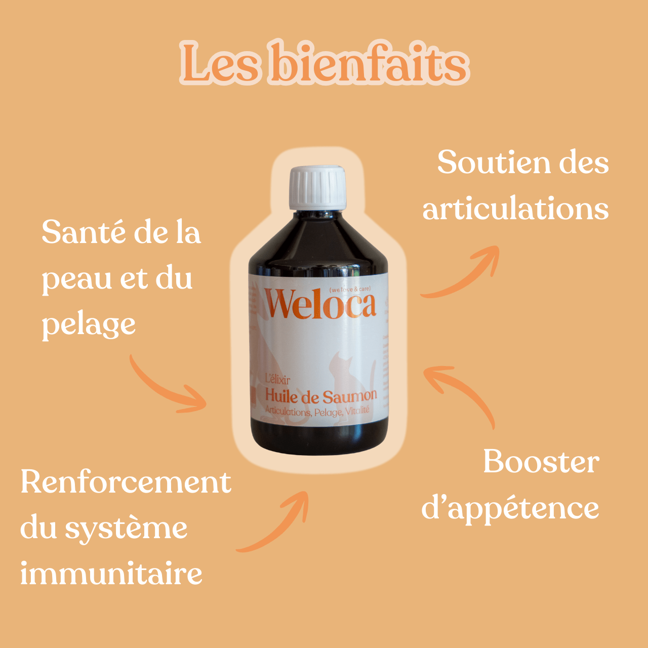 Huile de saumon | Chien et chat - Weloca