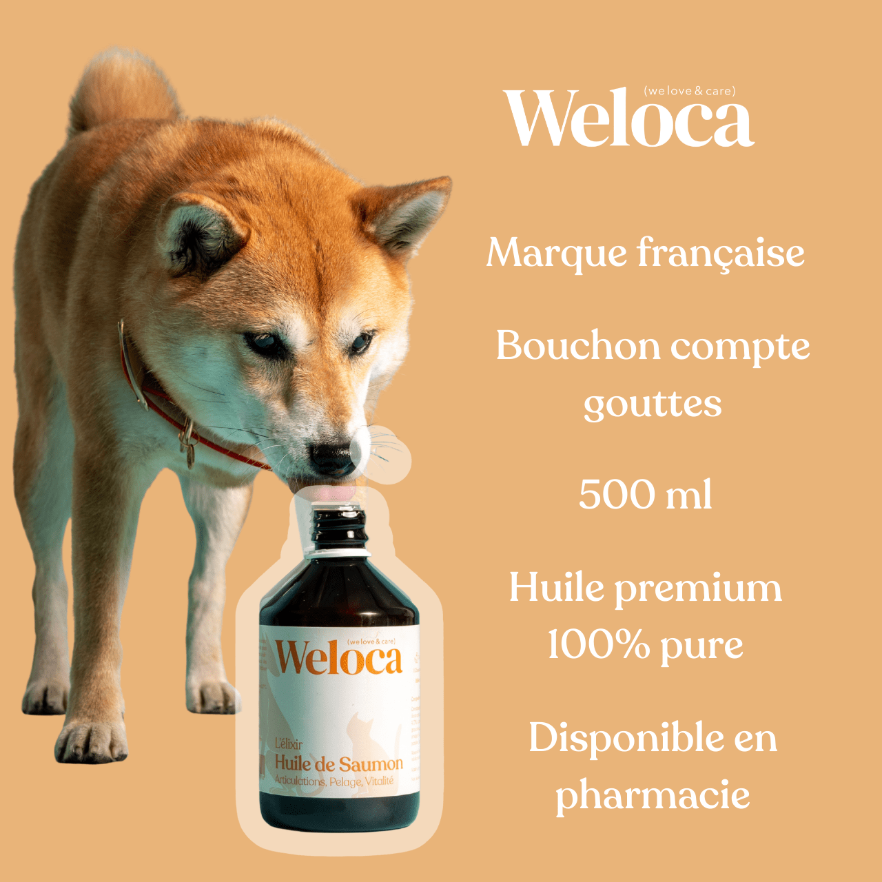 Huile de saumon | Chien et chat - Weloca