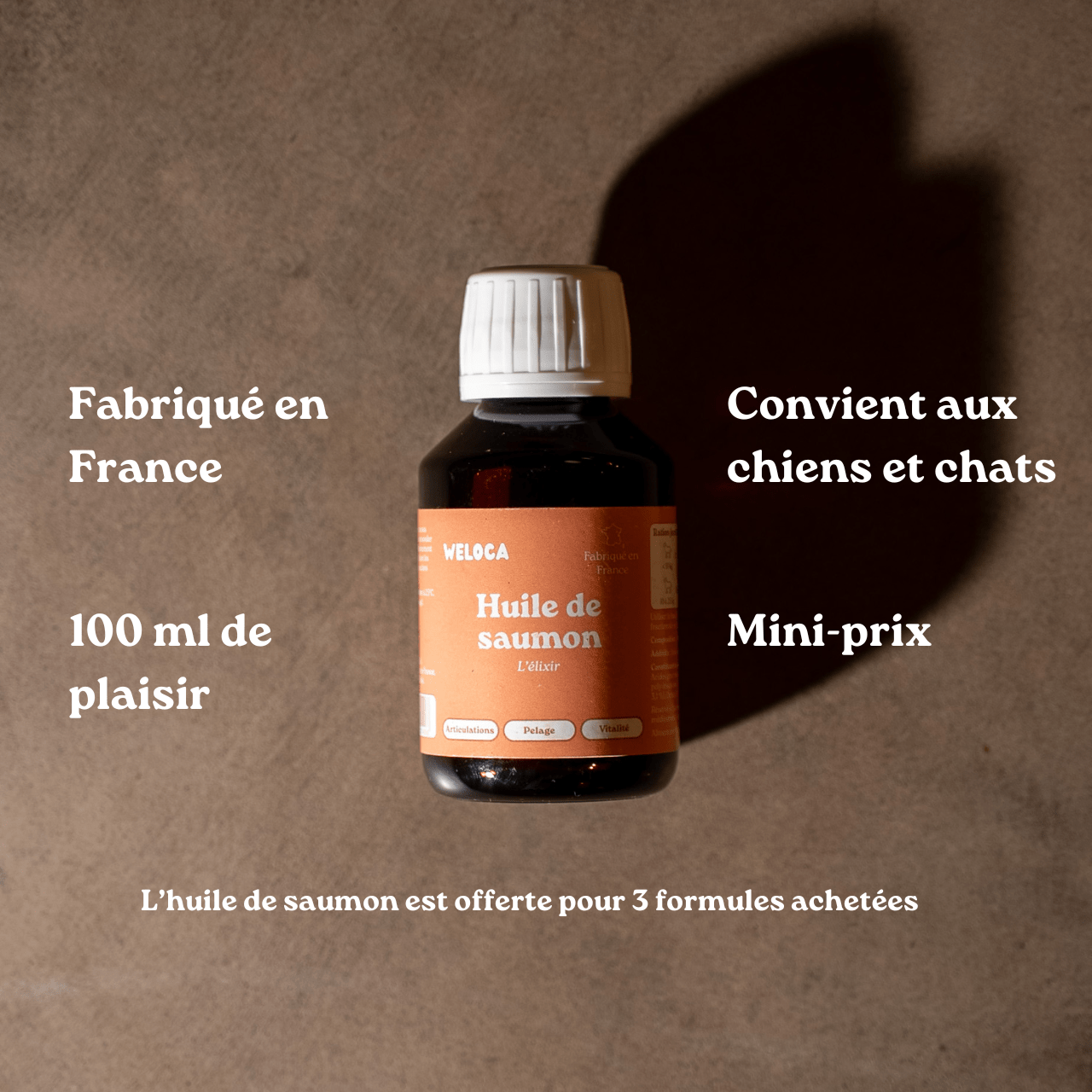 Huile de saumon | Chiens et chats - Weloca