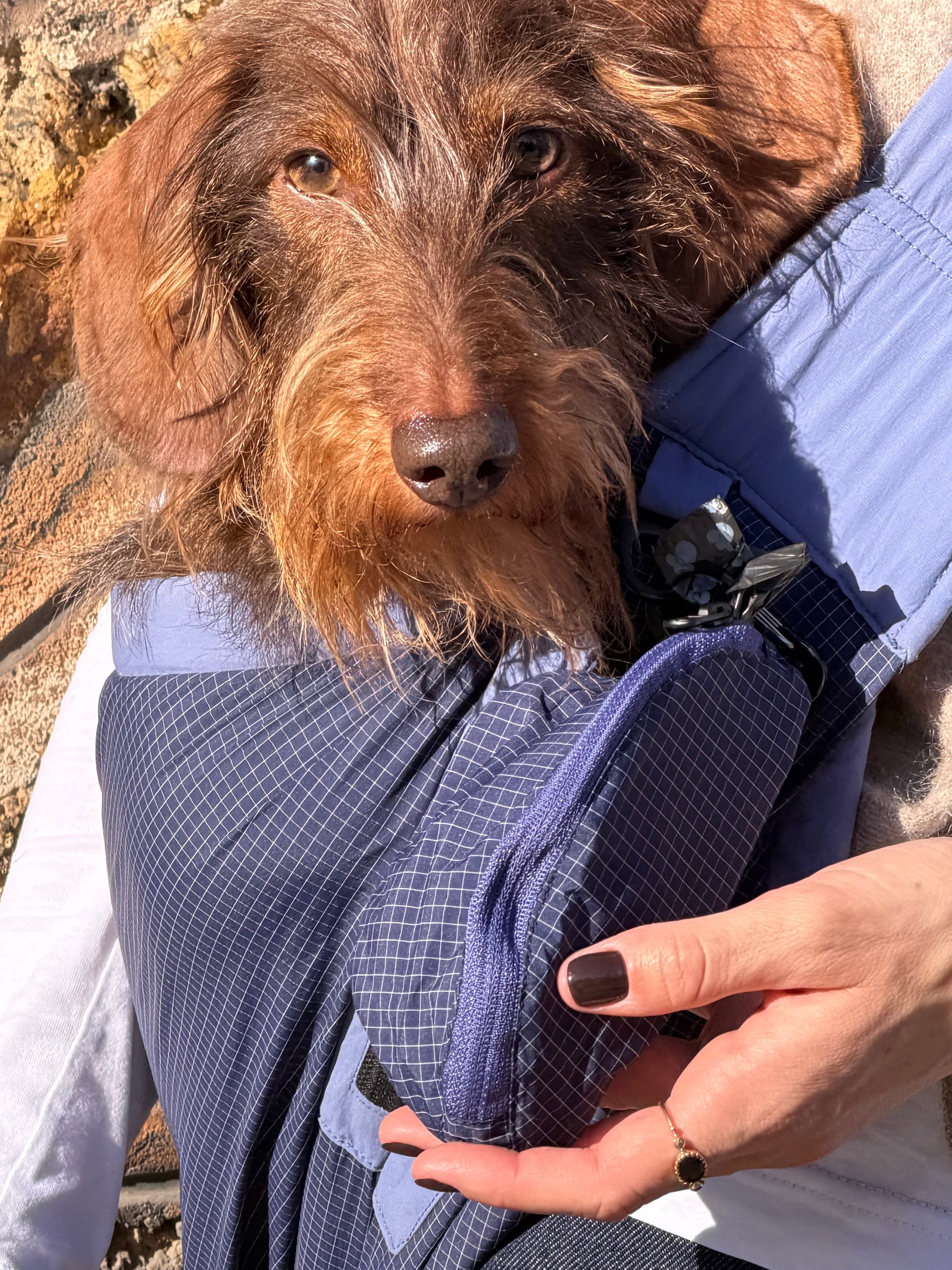 Petit sac à friandises bleu - Weloca