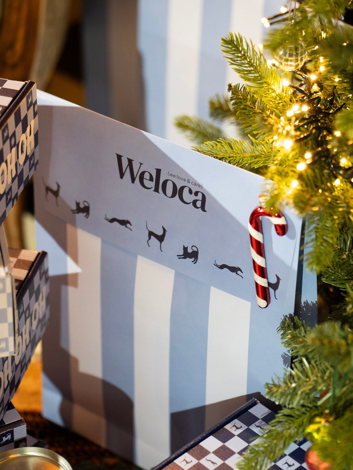 Pochette Cadeau Noël - Weloca